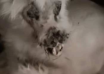 T0907028 Left out part2