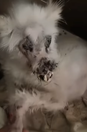 T0907028 Left out part2