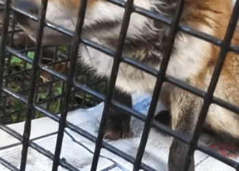 T0307061 We only think about saving it without thinking about what will happen part2