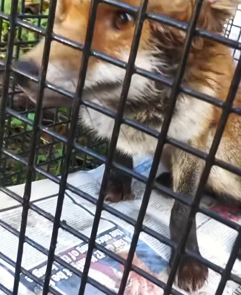 T0307061 We only think about saving it without thinking about what will happen part2