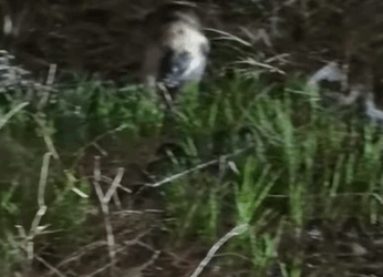 T0907021 One rescue part2