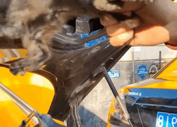 T0907009 How did he get in there cat part2