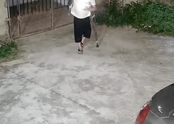 T1307026 Perhaps it was fate that the little dog with a disabled hind leg found part2