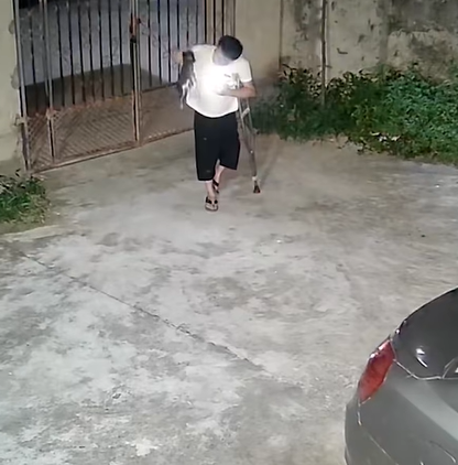 T1307026 Perhaps it was fate that the little dog with a disabled hind leg found part2