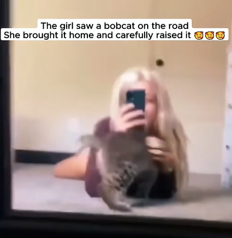 T0307022 The girl was walking and saw a baby bobcat bobcat babybobcat bobca part2