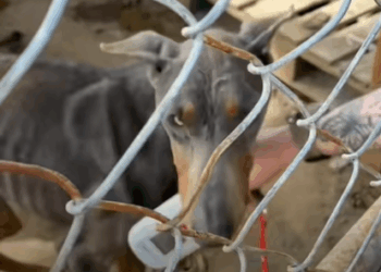 T0907023 He’s not trash part2