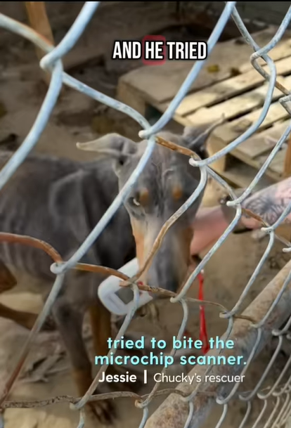 T0907023 He’s not trash part2