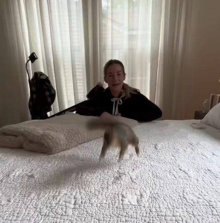 T1307005 My dog saved a little guy that was almost drowning part2