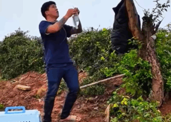 T1307021 dog rescue rescue animal animalsoftiktok rescueanimals pupup pup part2