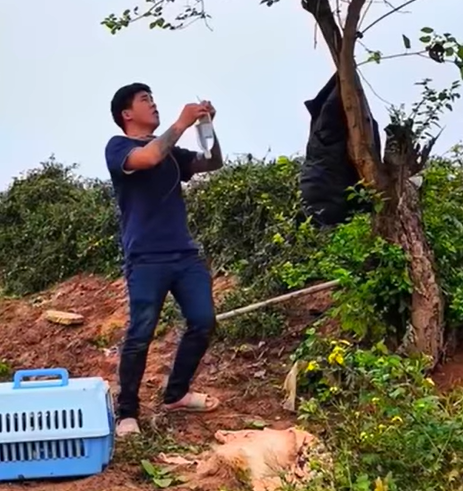 T1307021 dog rescue rescue animal animalsoftiktok rescueanimals pupup pup part2