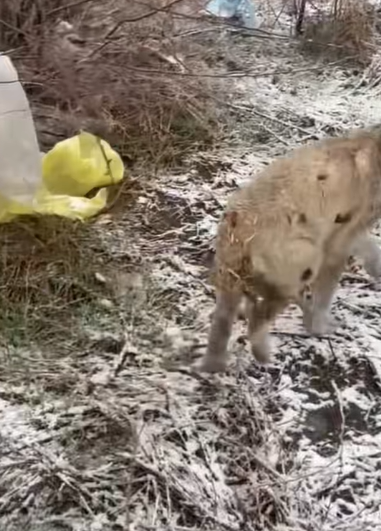 T0907027 No more chains part2