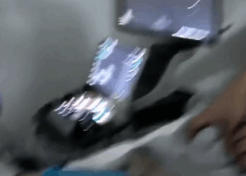 T0305022 Go home ❤️ #pet #trending #fyp #xuhuong #petsoftiktok #dog #dogsoftiktok part2