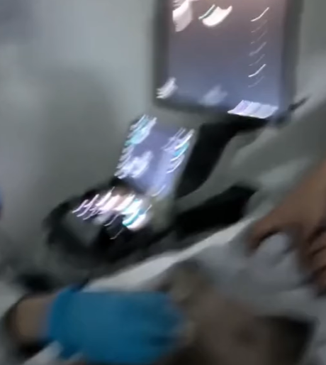 T0305022 Go home ❤️ #pet #trending #fyp #xuhuong #petsoftiktok #dog #dogsoftiktok part2