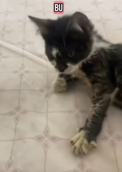 T0907024 Love found her first part2