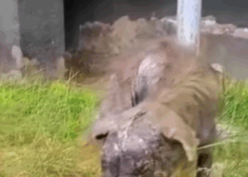 T0907030 He needed help part2