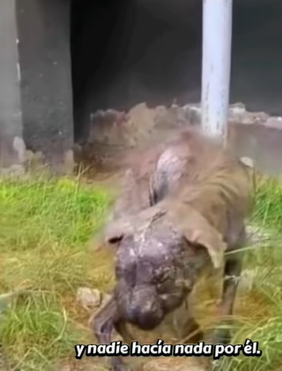 T0907030 He needed help part2