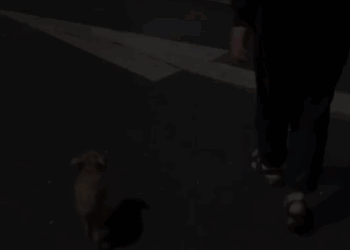 T0305020 Please take me home part2