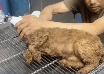 T0305016_No food. No home. Just hope part2