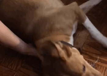 T0305023 Left in the cold part2