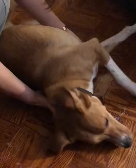 T0305023 Left in the cold part2