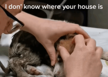 T1707007 The kind girl gave him home part2