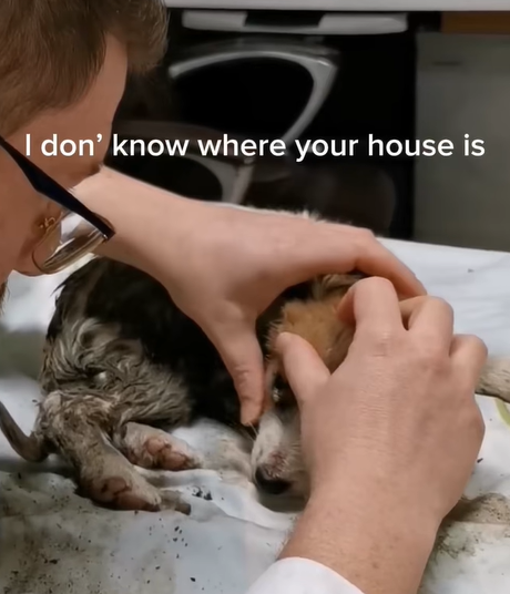 T1707007 The kind girl gave him home part2