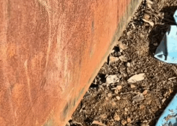 T0907026 He didn’t ask for this part2