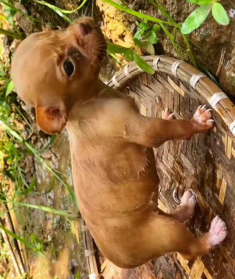 T0307062 Is this an arrangement or coincidence but the people who saved the part2