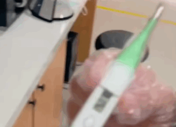 T1707010 The injured stray cat crawled to safety after car accident awaiting part2