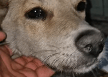 T0907018 He waited… and waited part2