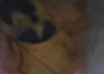 T0307035 A girl helped a stray cat on the street and the ending cuteanimals part2