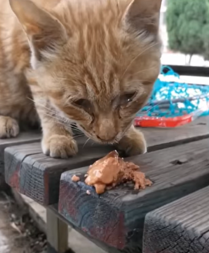 T0907002 No one needs me part2